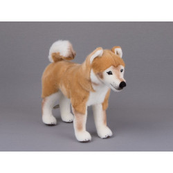 Kösen 6170 Shiba Inu 13 cm