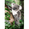 Kösen 7700 Koala 25 cm