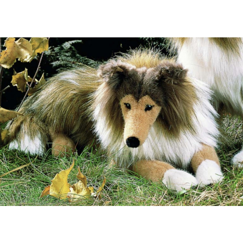 Kösen 3890 Collie 40 cm