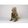 Kösen 7850 Quokka 32 cm