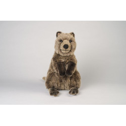 Kösen 7850 Quokka 32 cm