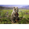 Kösen 7850 Quokka 32 cm