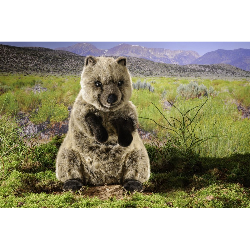Kösen 7860 Quokka 48 cm