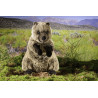 Kösen 7860 Quokka 48 cm