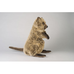 Kösen 7860 Quokka 48 cm