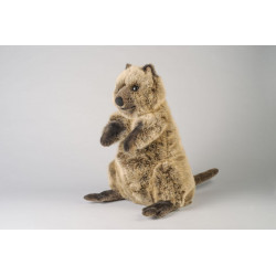 Kösen 7860 Quokka 48 cm
