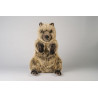Kösen 7860 Quokka 48 cm