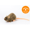 Kösen 3670 Ratte "Rille" 22 cm